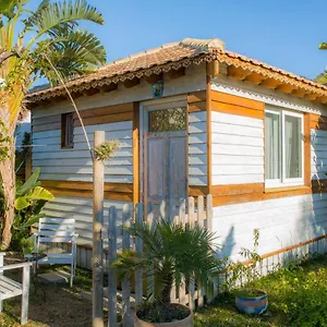 La Palmerita El Palmar (Andalucia)