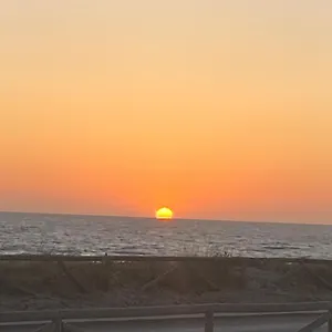 Abundancia El Palmar (Andalucia)